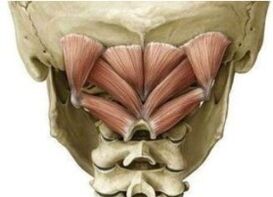 Deep neck muscles holding the atlant in the wrong position